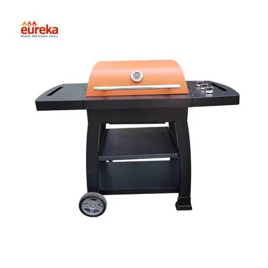 Garden Kitchen Outdoor Portable Barbecue Gas Grill