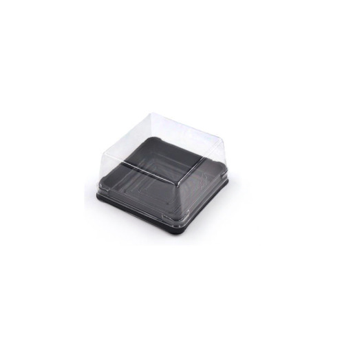 Diposable Cheap Small Square Plastic Cake Box