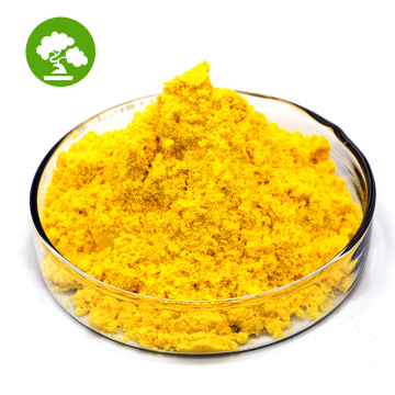 Hot Sale Pure Coenzyme Q10 Powder 98% bulk
