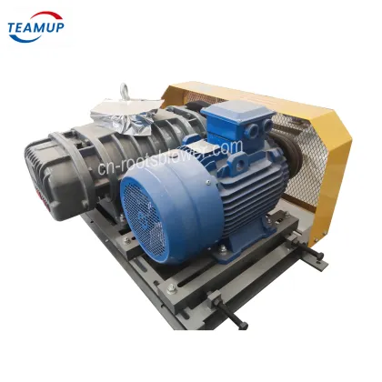 High Airflow Compact Roots Blower with Low Maintenance