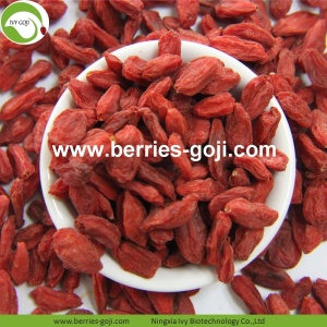 Anti Tumor Nutrition Fruit Healthy Conventional Goji Berry