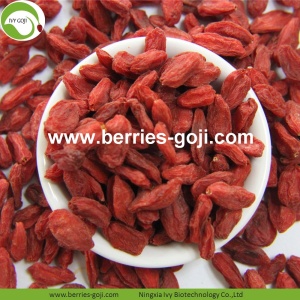 Anti Tumor Nutrition Fruit Healthy Traditional Goji Berry