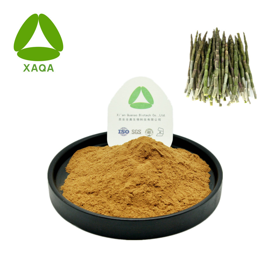 Dendrobium Officinale Powder