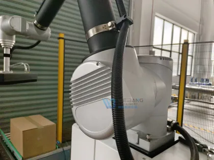 Hot Sale Intelligence Automatic Robot Palletizer