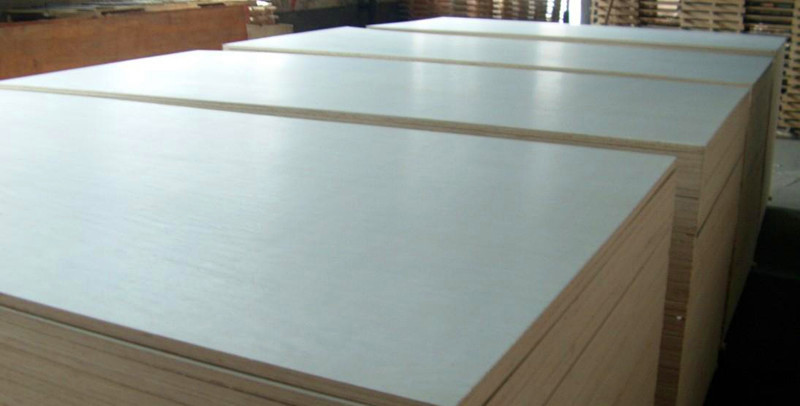 ป๊อปลาร์ฟอกขาว 05 bleached poplar 05