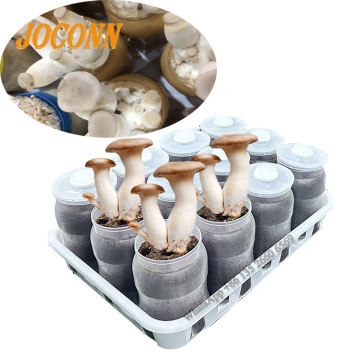 Equipo de cultivo de hongos enoki: botellas de cultivo y suministros de hongos comestibles