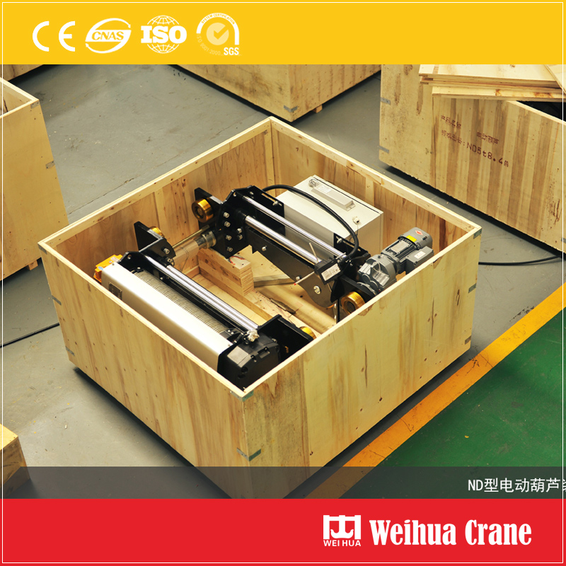 Electric Hoist Wooden Case Packing