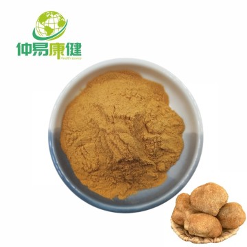 Organic Lion's Mane Mushroom Extract Powder