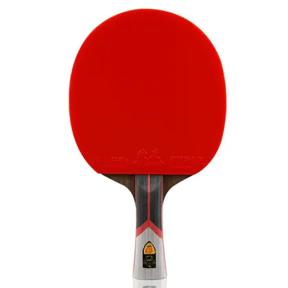 Friendship 729 Professional Table Tennis Racket