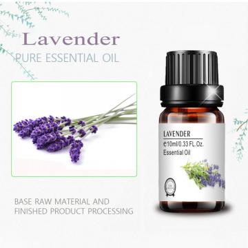 private label lavender essential oil for massage skincare