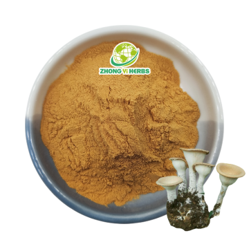 Zhongyiherbs Organic Tiger Milk Mushroom Extract