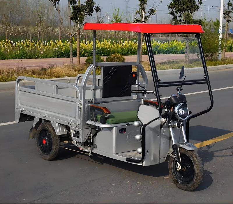 Sunshade canopy cargo tricycle