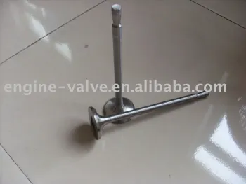 engine valve for CAT