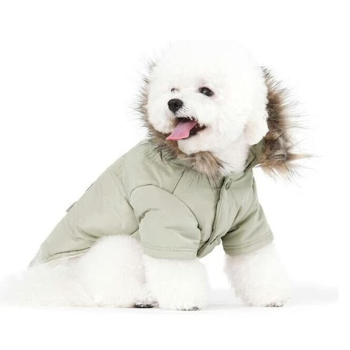 Mèo chó dogie xuống áo khoác hoodie