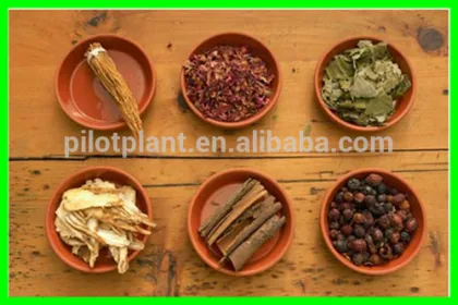 ceramic powder spray dryer technology