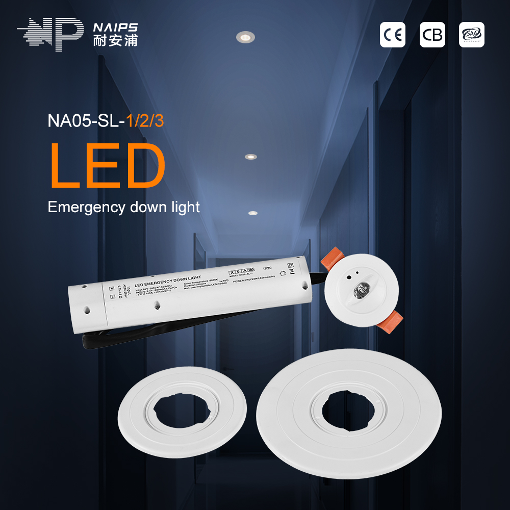 Celing de luz de emergencia de 3W LED