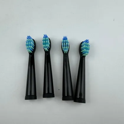 Seago & Fairwill Compatible 4-Piece Replacement Toothbrush Head Set