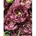 বিবাহের তোড়া জন্য প্রিমিয়াম ব্রাউন Lisianthus পাইকারি