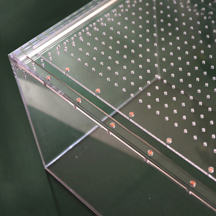 Caixa de criação de aranha acrílica personalizável