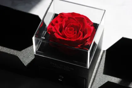 Custom Acrylic Eternal Rose Ring Flower Box with Drawer