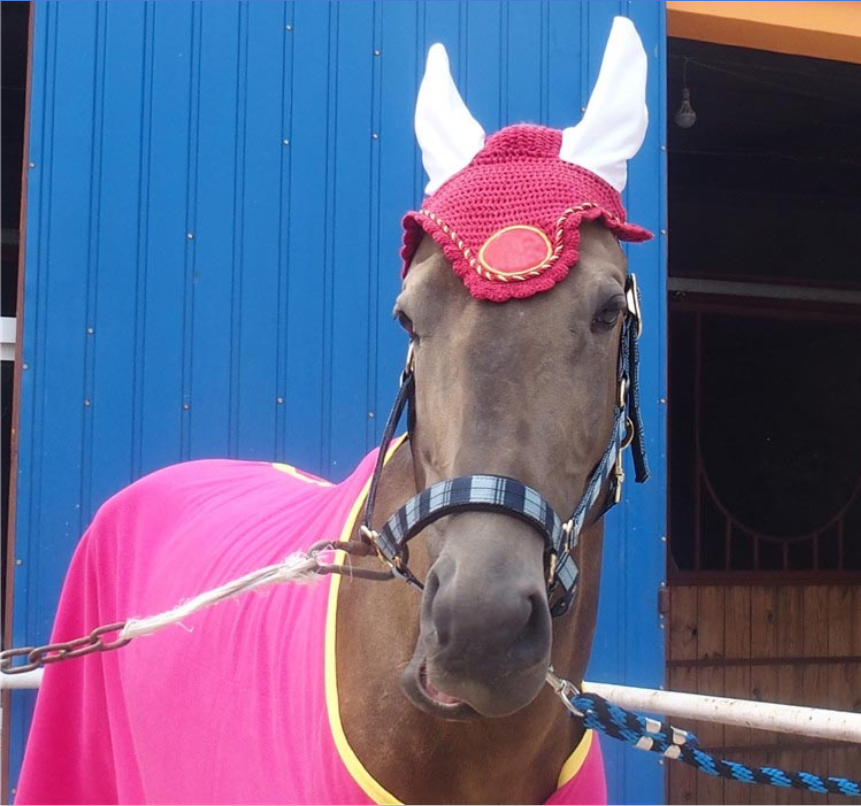 Handmade Beautiful Horse Fly Veil