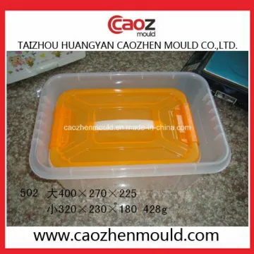 Used Injected Plastic Storage Box/Container Mould