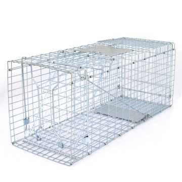 Folded Humane Live Animal Cage Trap for Rats