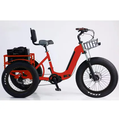500W Electric Tricycle - OEM Aluminum Frame Fat Tire Pedicab for Family Use