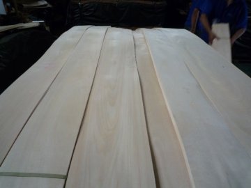 White Birch Veneer