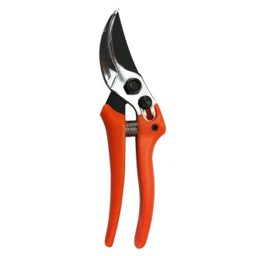 Professional Garden Tools: Bypass Tools, Shears, Pruners, and Flower Cutting Scissors for Expert Horticulture
