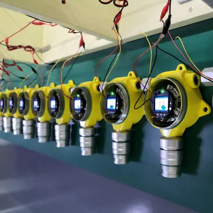 Fixed Install Propylene Gas Monitor
