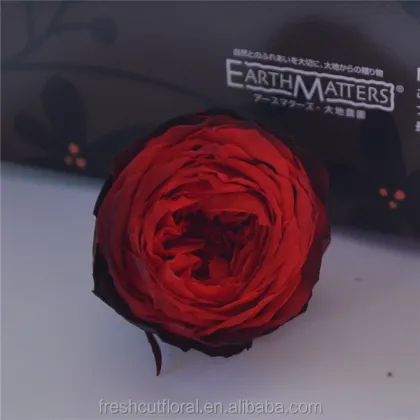 Wholesale European Style Real Flower Preserved David Austin Roses