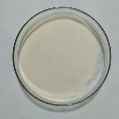 Top quality instant banana powder with competitive price