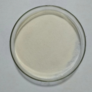 Top quality instant banana powder with competitive price