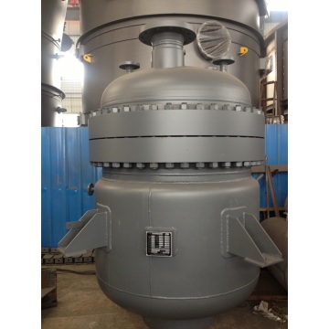 Stainless Steel High Pressure Reactor