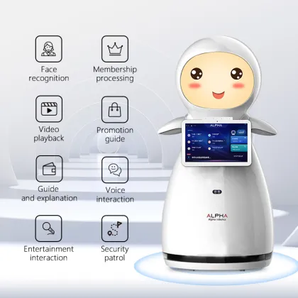 CSJBOT: Intelligent Humanoid Service Robot for Education
