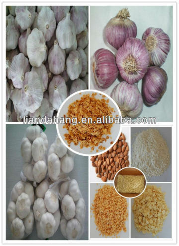 Sterilized Crumbed Garlic