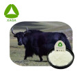 Extrait bovine Extrait de moelle bovine peptide 99% de poudre