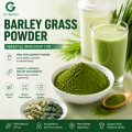 Polvo de hierba de cebada para fórmulas de superalimentos de nutrición verde