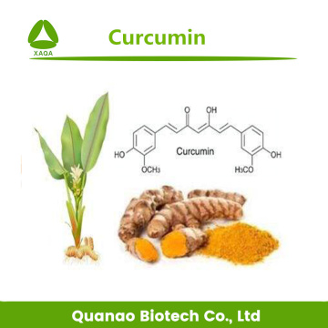 Curcumin 95% Turmeric Root Extract Powder