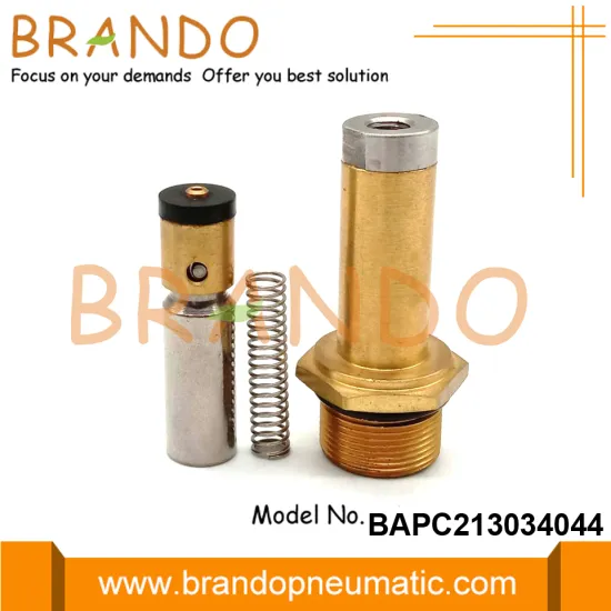 Automotive LPG CNG Reducer Solenoid Armature Plunger Tube