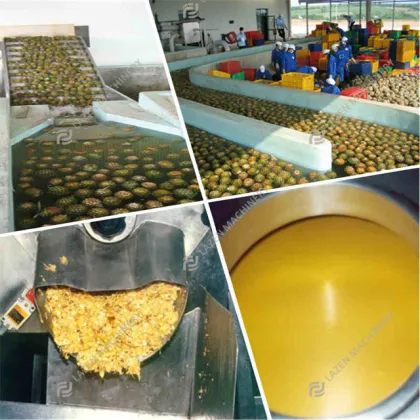NFC Fresh Nature Fruit Juice Making Machine: Juice Extractor & Production Line