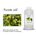 Huile essentielle de neem de haute qualité huile de neem pressée à froid avec emballage personnalisé pour une utilisation cosmétique