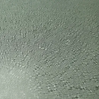 Environmentally Friendly Paint Coated Steel Aluminum