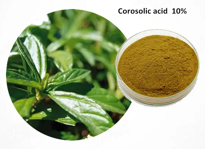 corosolic acid 