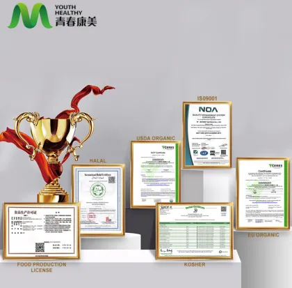 Salvia Miltiorrhiza Extract Powder for Liver Support