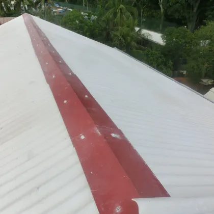 Typhoon Proof MgO Roof Panel