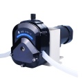 High Flow DC Water Pump 12v Peristaltic Pump