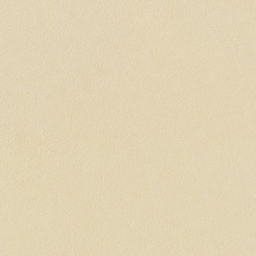New century Rustic ceramic unpolished porcelain floor tile