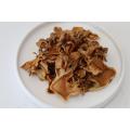 المجمدة الطازجة قطع Maitake Mushroom-100G